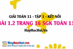 Giải bài 1.2 trang 16 Toán 11 tập 1 SGK Kết nối tri thức